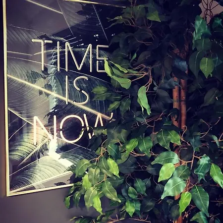 Time Is Now! Beautiful In Apartment *
